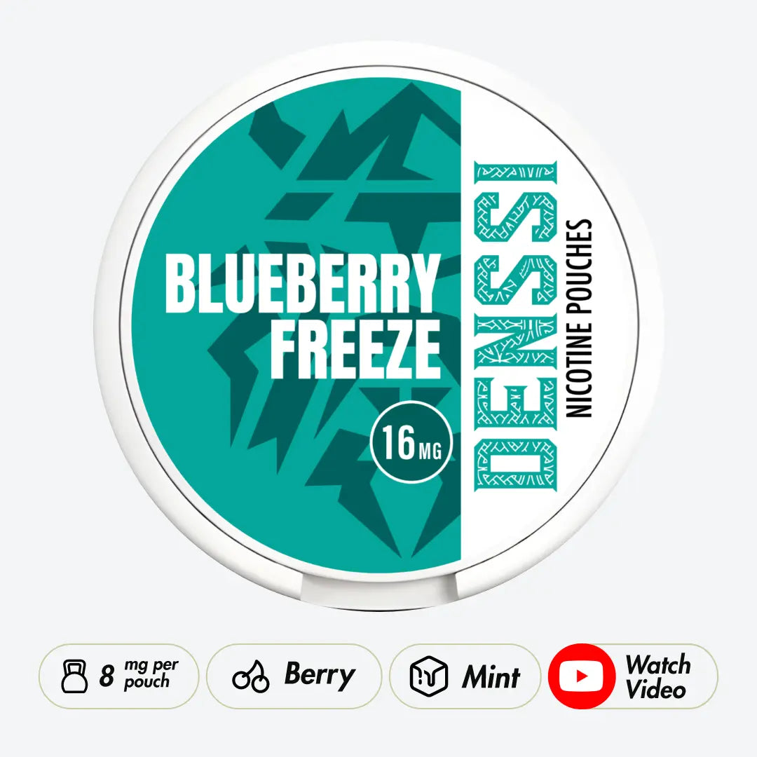 DENSSI Blueberry Freeze Strong - Pouchdaddy