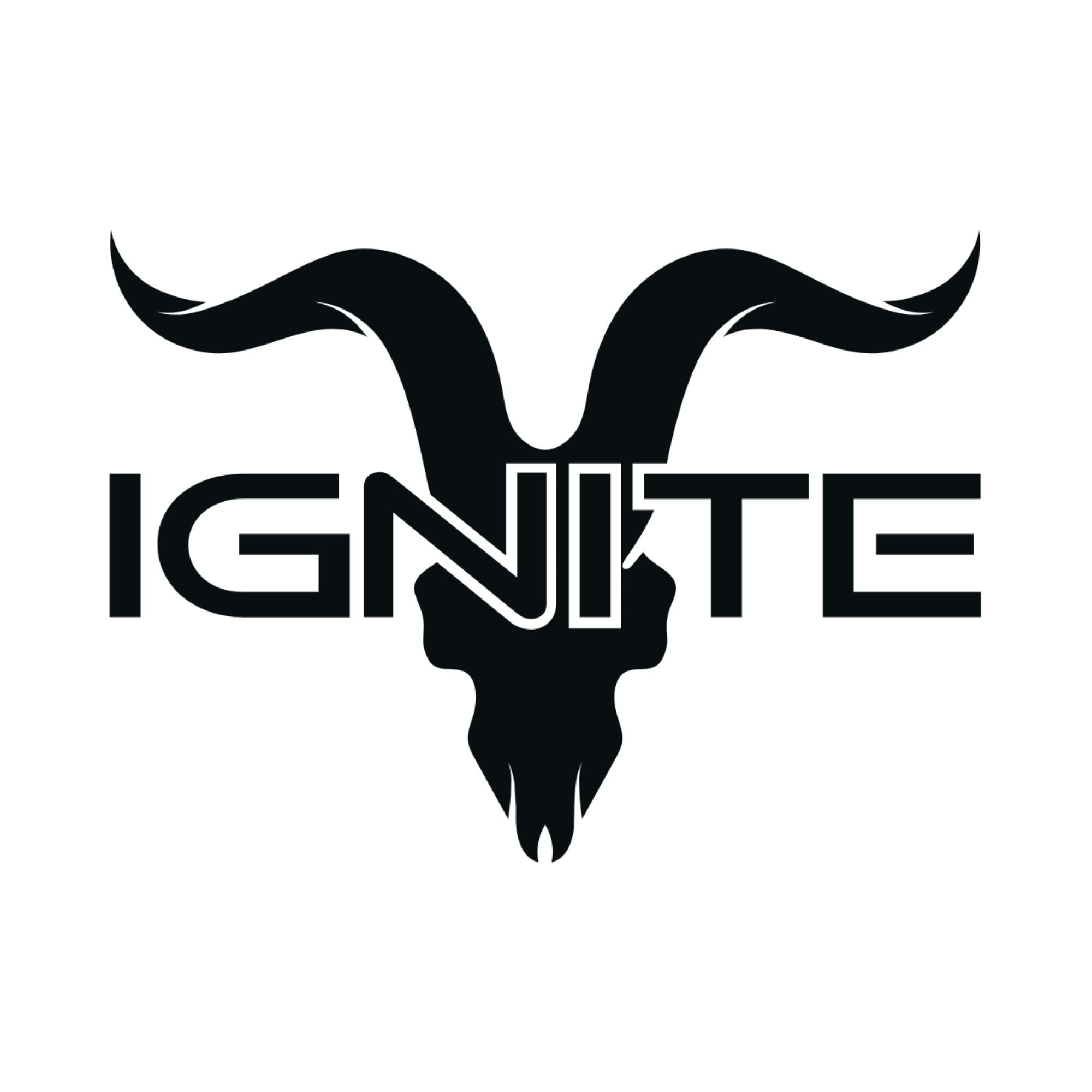 Ignite logo