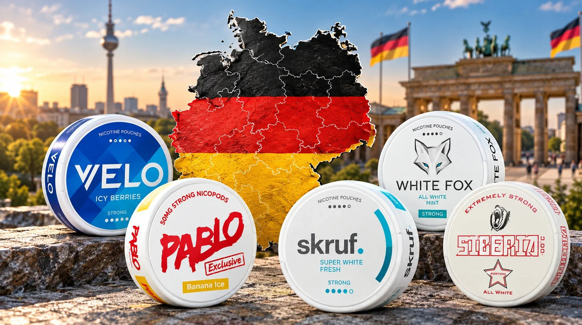 Which Nicotine Pouches Do Germans Buy Most Often?