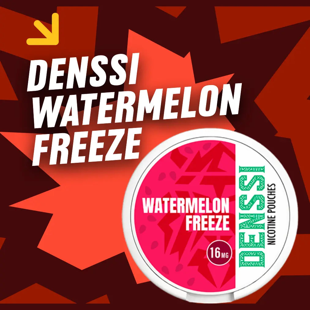 DENSSI Watermelon Freeze Review cover image

